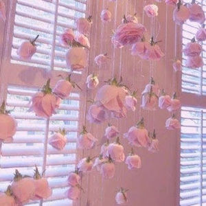 Meet your Posher, Sabrina